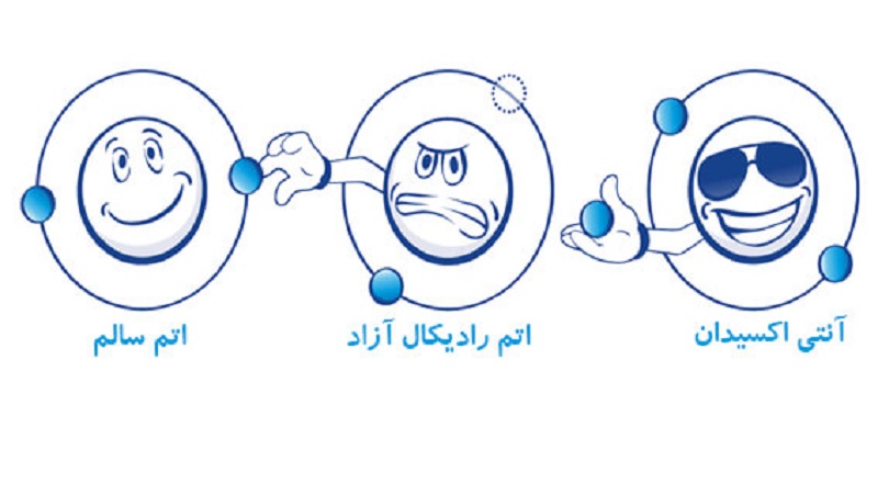 آنتی‌اكسیدان‌ها و چگونگی عملکردشان | متخصص تغذیه اصفهان