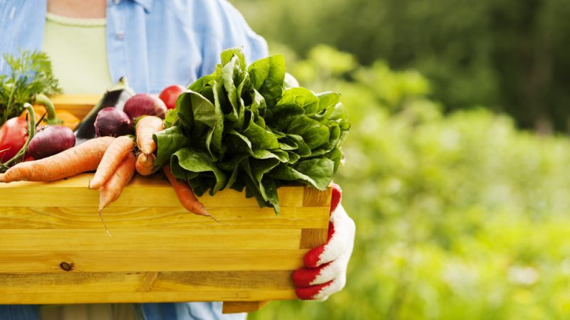 پیشگیری از افسردگی با تغذیه مناسب | متخصص تغذیه اصفهان