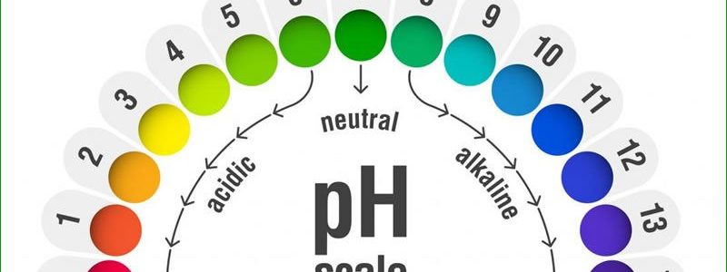 تعادل pH خون با مواد غذایی موثر