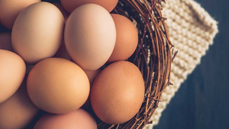 مصرف روزانه تخم مرغ | دکتر رضا اطمینانی (متخصص تغذیه اصفهان) | تاثیرات مصرف تخم مرغ بر سطح کلسترول خون | نکات مهم در مصرف تخم مرغ
